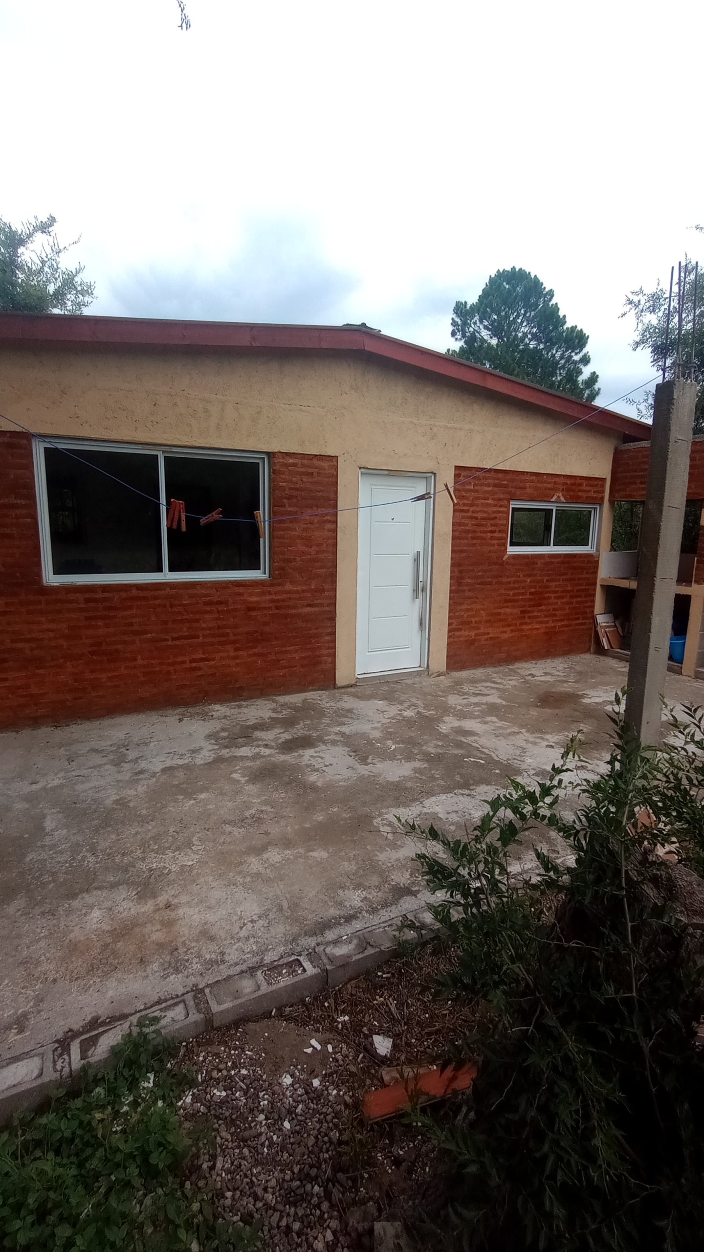 IMG_20250108_113734742