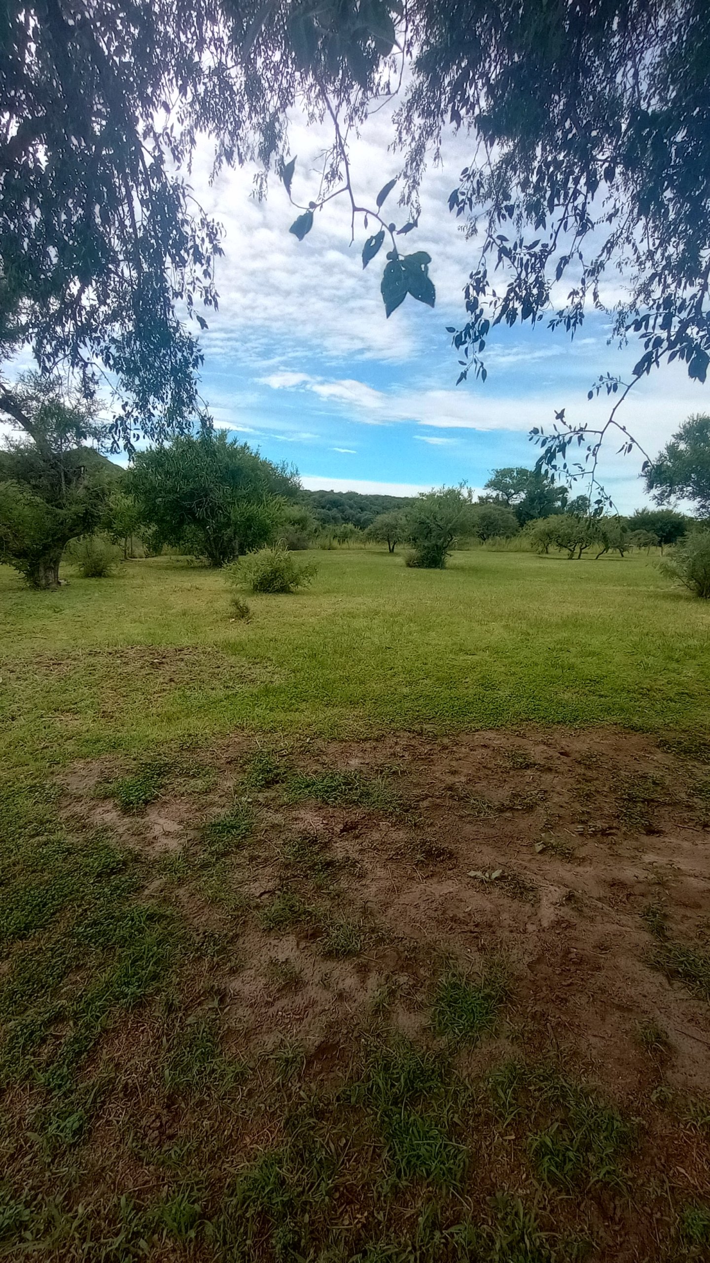 IMG_20250108_114131840_HDR