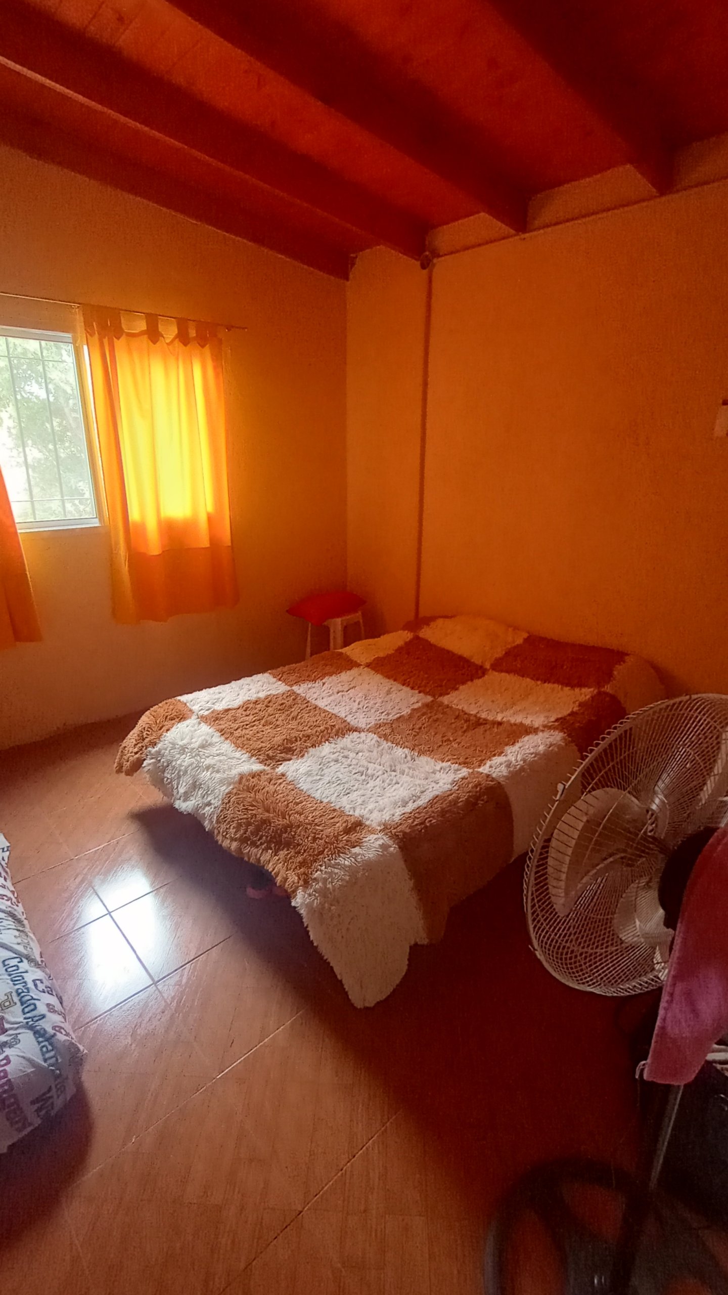 IMG_20250108_114419456_HDR