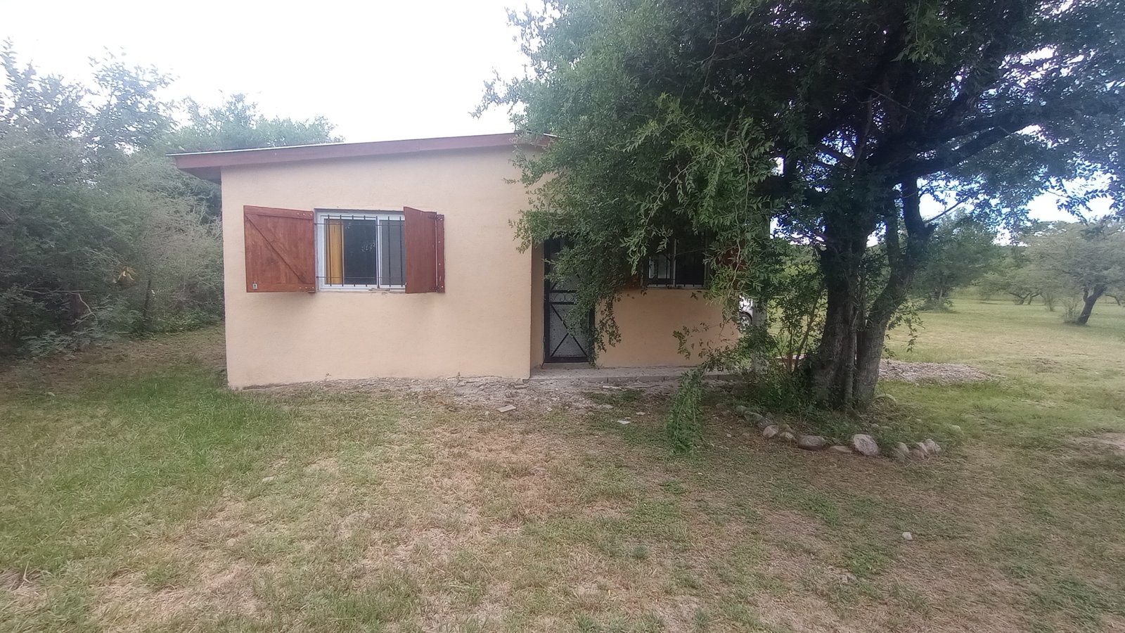 IMG_20250108_114821982